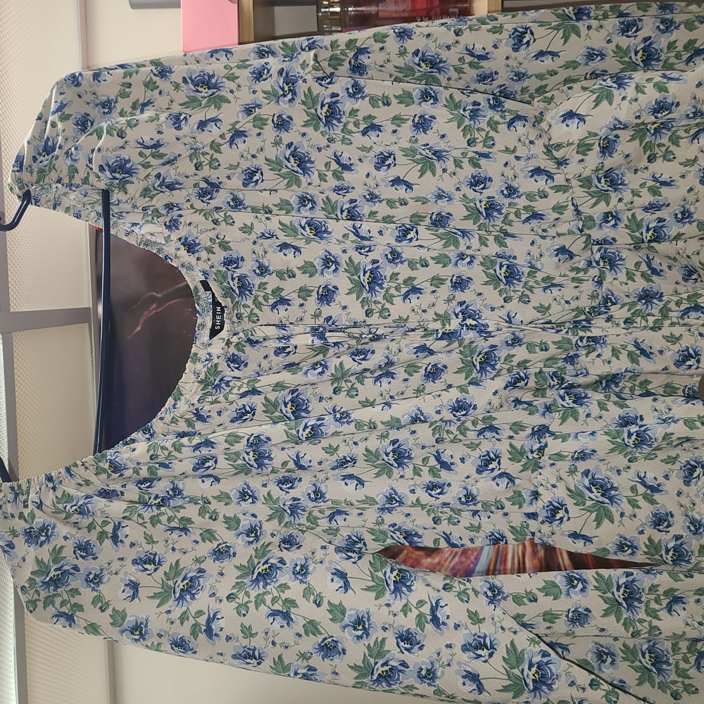 Floral Blue and White Dress